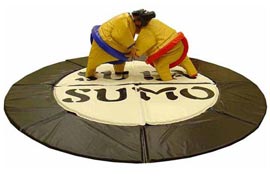 Sumo Wrestling Suits Limerick